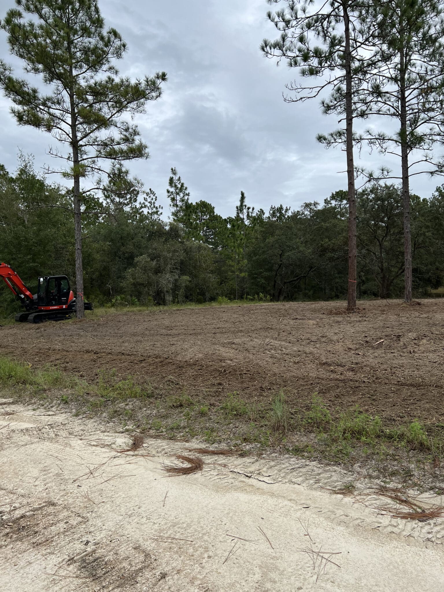 Land Clearing Services - Jim Digs, LLC